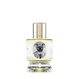 コアラ|コアラ