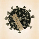 テローニ|南イタリア